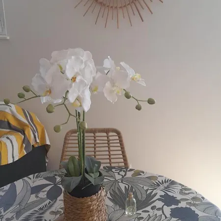 Apartment Et Begude